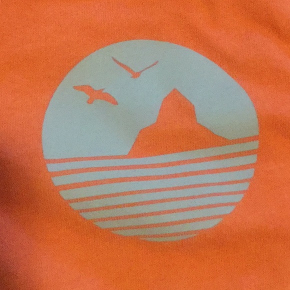 Shorts - Picture 2 of 4